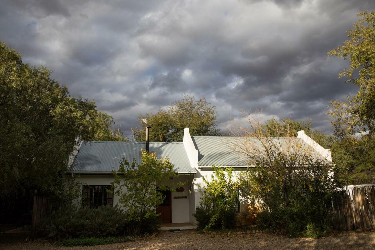 The Olive Thrush Cottage Prince Albert Exterior photo